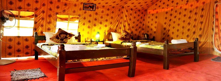 1432/Camp Leo & Gir Pride Resort - Gir National Park 08.jpg